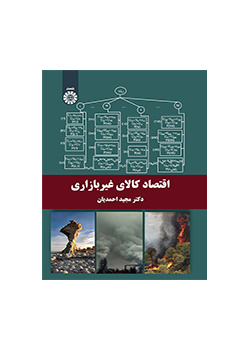 اقتصاد السلع غير السوقية