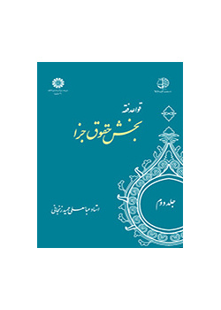 القواعد الفقهية (المجلد الثاني): قسم الحقوق الجزائية