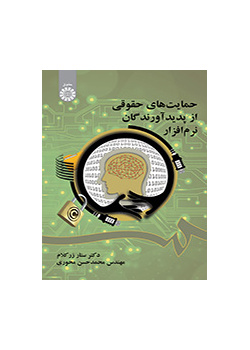 الحماية القانونية لمنتجي البرمجيات