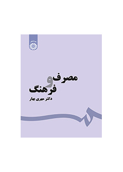 الاستهلاك والثقافة