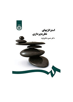 استراتيجيات التنظير