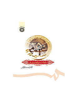 التمويل العام