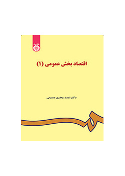 اقتصاد القطاع العام