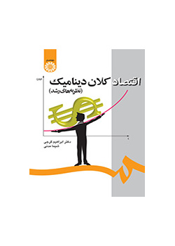 الاقتصاد الكلي الديناميكي (نظريات التنمية)