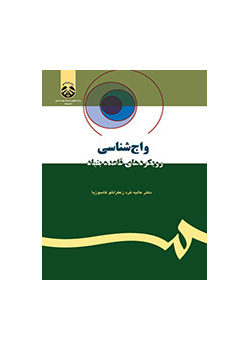 علم الأصوات: المقاربات المستندة إلى القواعد