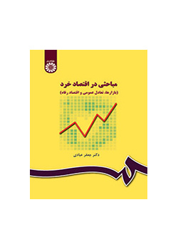 موضوعات في الاقتصاد الجزئي (السوق والتوازن العام واقتصاديات الرفاهية)