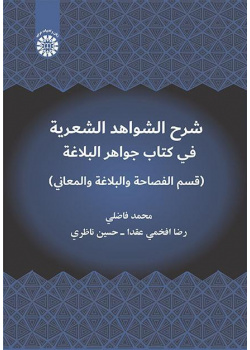 شرح الشواهد الشعرية في كتاب جواهر البلاغة (قسم الفصاحة والبلاغة والمعاني)