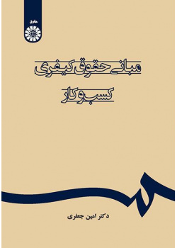 مبادئ القانون الجنائي للأعمال