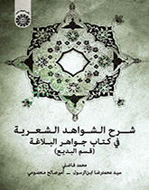 شرح الشواهد الشعرية في كتاب جواهر البلاغة (قسم البديع)