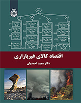 اقتصاد السلع غير السوقية