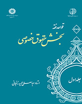القواعد الفقهية (المجلد الأول): قسم القوانين الخاصة