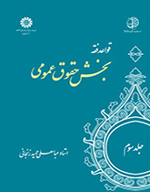 القواعد الفقهية (المجلد الثالث): قسم القوانين العامة