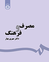 الاستهلاك والثقافة