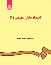 اقتصاد القطاع العام