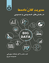 إدارة البيانات الضخمة في القطاعين الخاص والعام