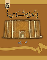 اركيولوجيا الميديين