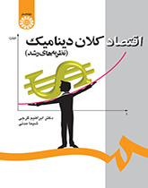 الاقتصاد الكلي الديناميكي (نظريات التنمية)