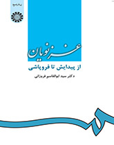 الغزنويون: من البداية حتى السقوط