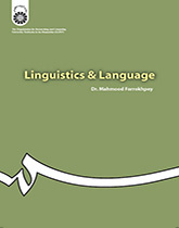 أسس اللغويات