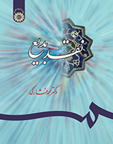 نقد البديع