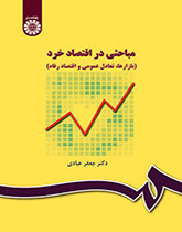 موضوعات في الاقتصاد الجزئي (السوق والتوازن العام واقتصاديات الرفاهية)