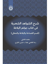 شرح الشواهد الشعرية في كتاب جواهر البلاغة (قسم الفصاحة والبلاغة والمعاني)