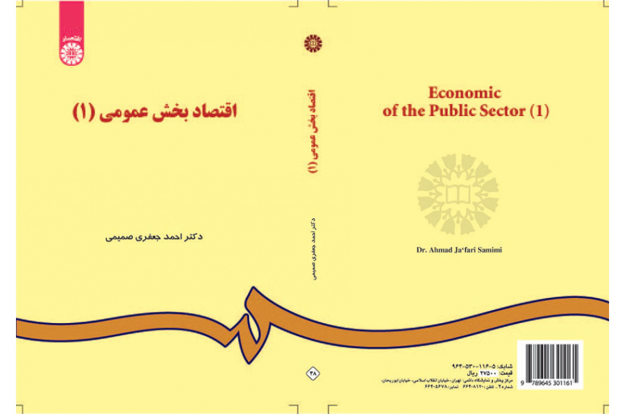 اقتصاد القطاع العام