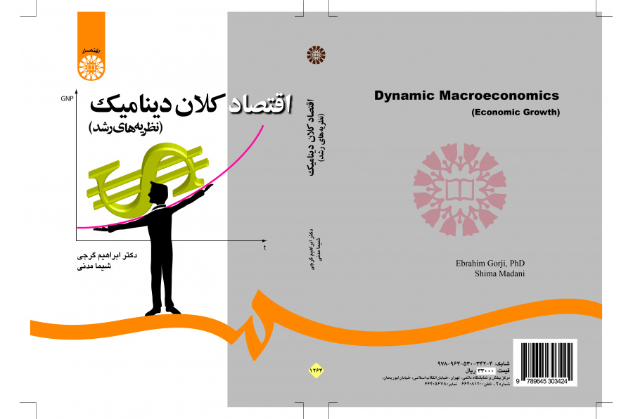 الاقتصاد الكلي الديناميكي (نظريات التنمية)