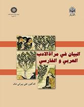 البيان في مرآة الأدب العربي والفارسي