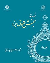 القواعد الفقهية (المجلد الثاني): قسم الحقوق الجزائية