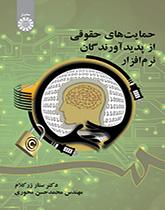 الحماية القانونية لمنتجي البرمجيات