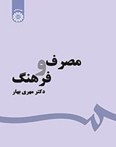 الاستهلاك والثقافة
