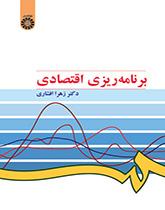 التخطيط الاقتصادي