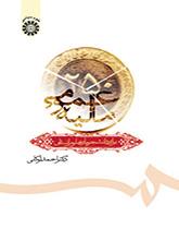 التمويل العام