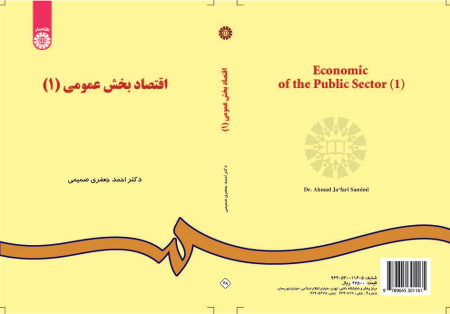 اقتصاد القطاع العام