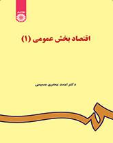 اقتصاد القطاع العام