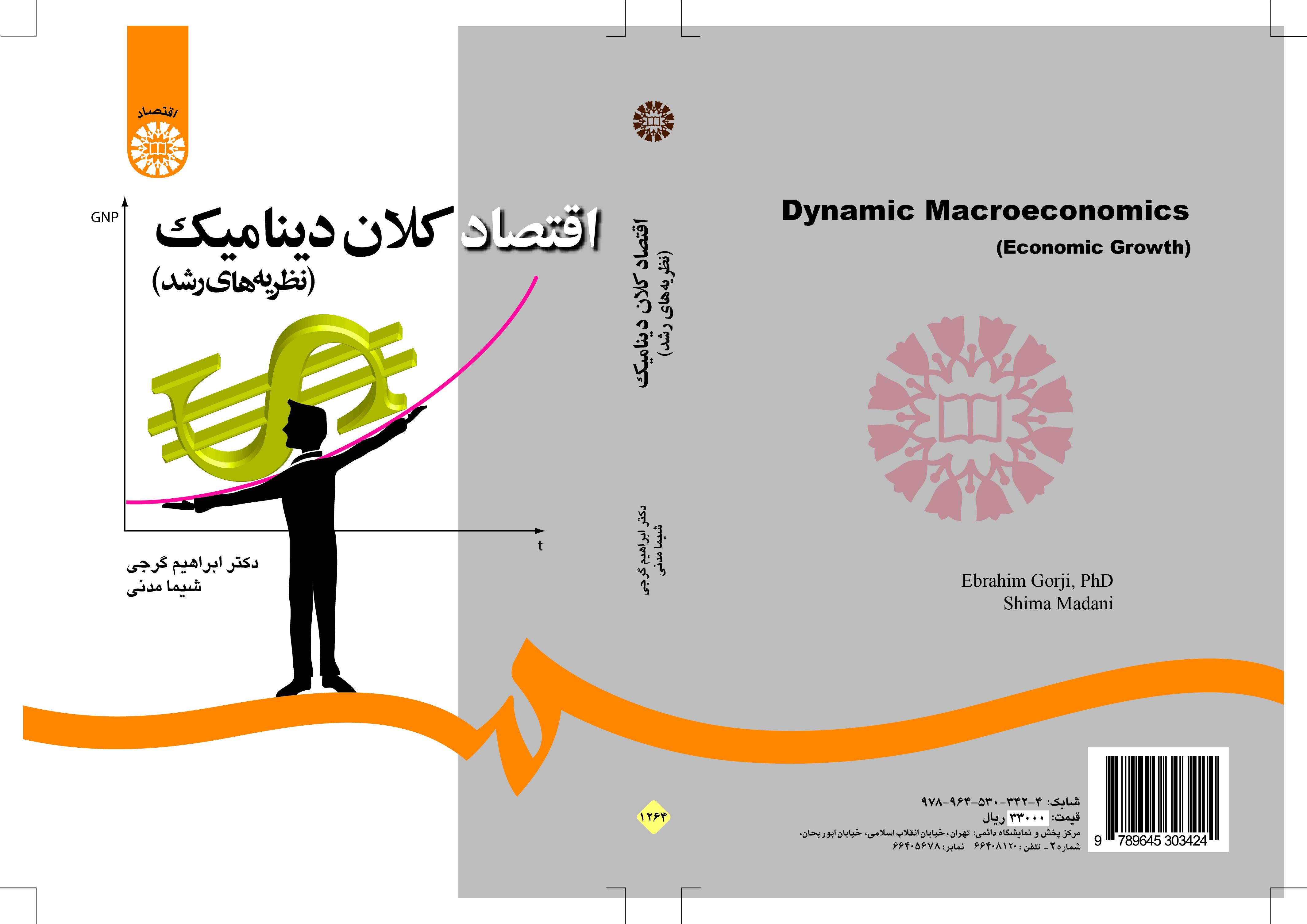 الاقتصاد الكلي الديناميكي (نظريات التنمية)