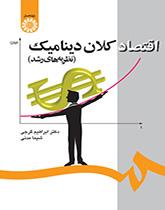 الاقتصاد الكلي الديناميكي (نظريات التنمية)