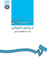 الغزنويون: من البداية حتى السقوط