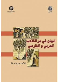 Figurative Language in Arabic and Persian Literature's Mirror