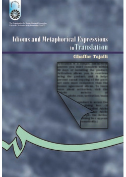 Idioms and Metaphorical Expressions in Translation