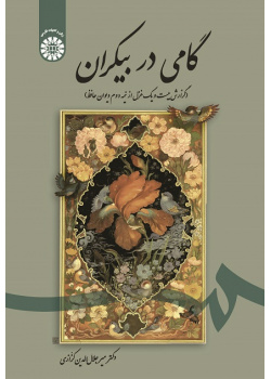 A Step into the Infinitude: A Report on 21 Sonnets From the 2nd Half of Hafiz's Complete Works