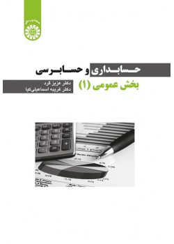 The Public Sector Accounting and Auditing (I)