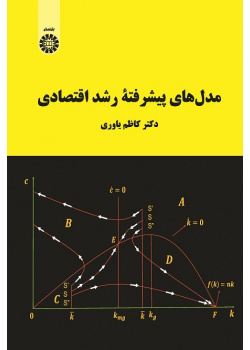 Advanced Economic Growth Models