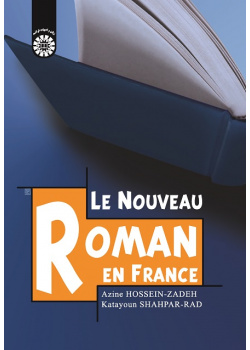 Le Nouveau Roman En France