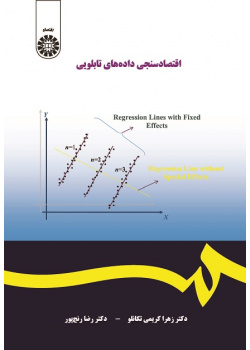Panel Data Econometrics