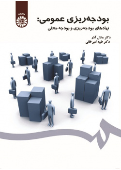 Public Budgeting: Budgetary Institutions and Local Budget