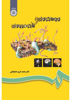 Neuropsychology and Psychophysiology