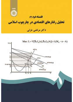Microeconomics (3): The Analysis of Economic Behaviors in Islamic Framework