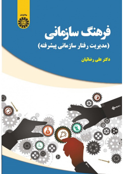 Organizational Culture (Advanced Organizational Behavior Management)